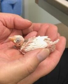 年末年始営業のご案内